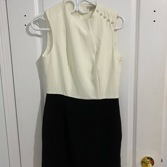 Business Casual B&W Drese - Picture 3 of 3